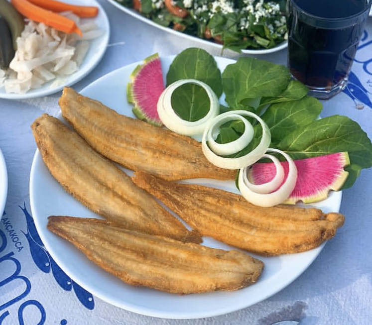 Dil Balığı