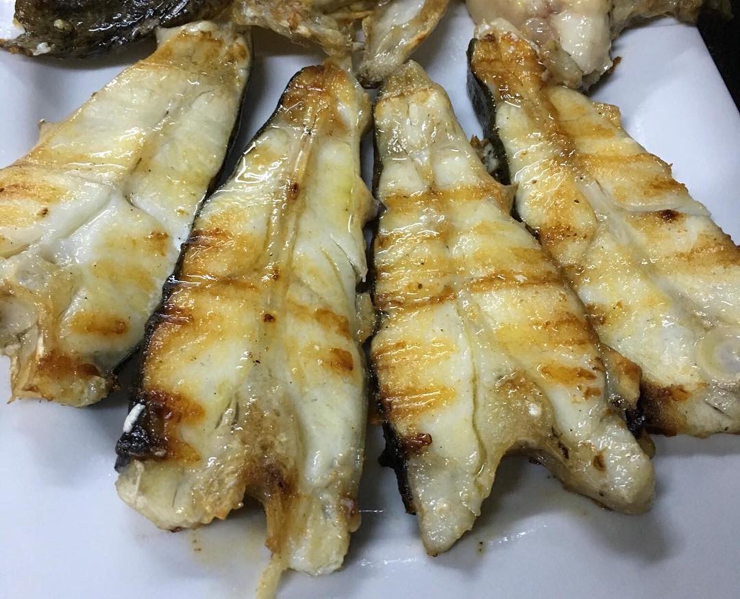 Kalkan Balığı