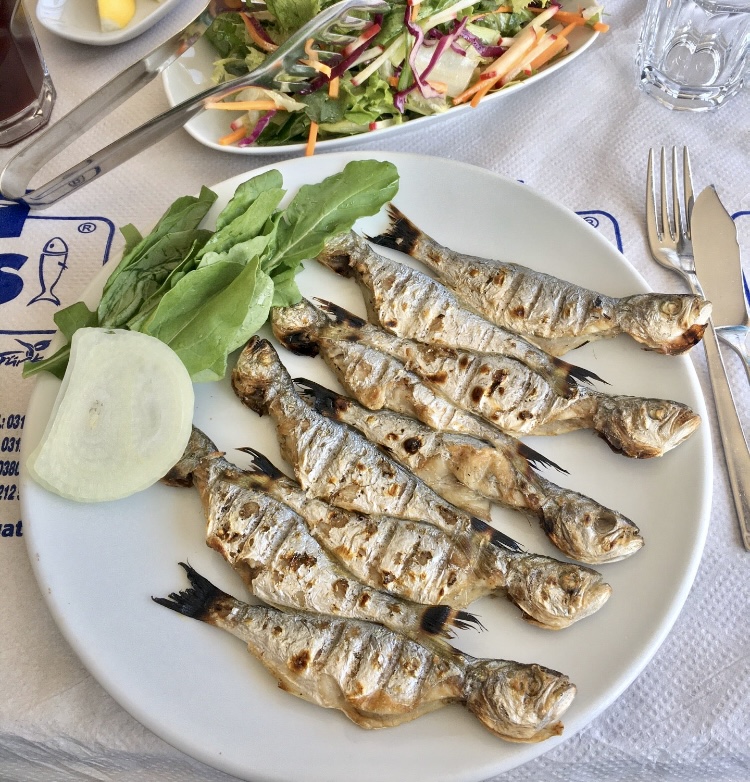 Çinekop