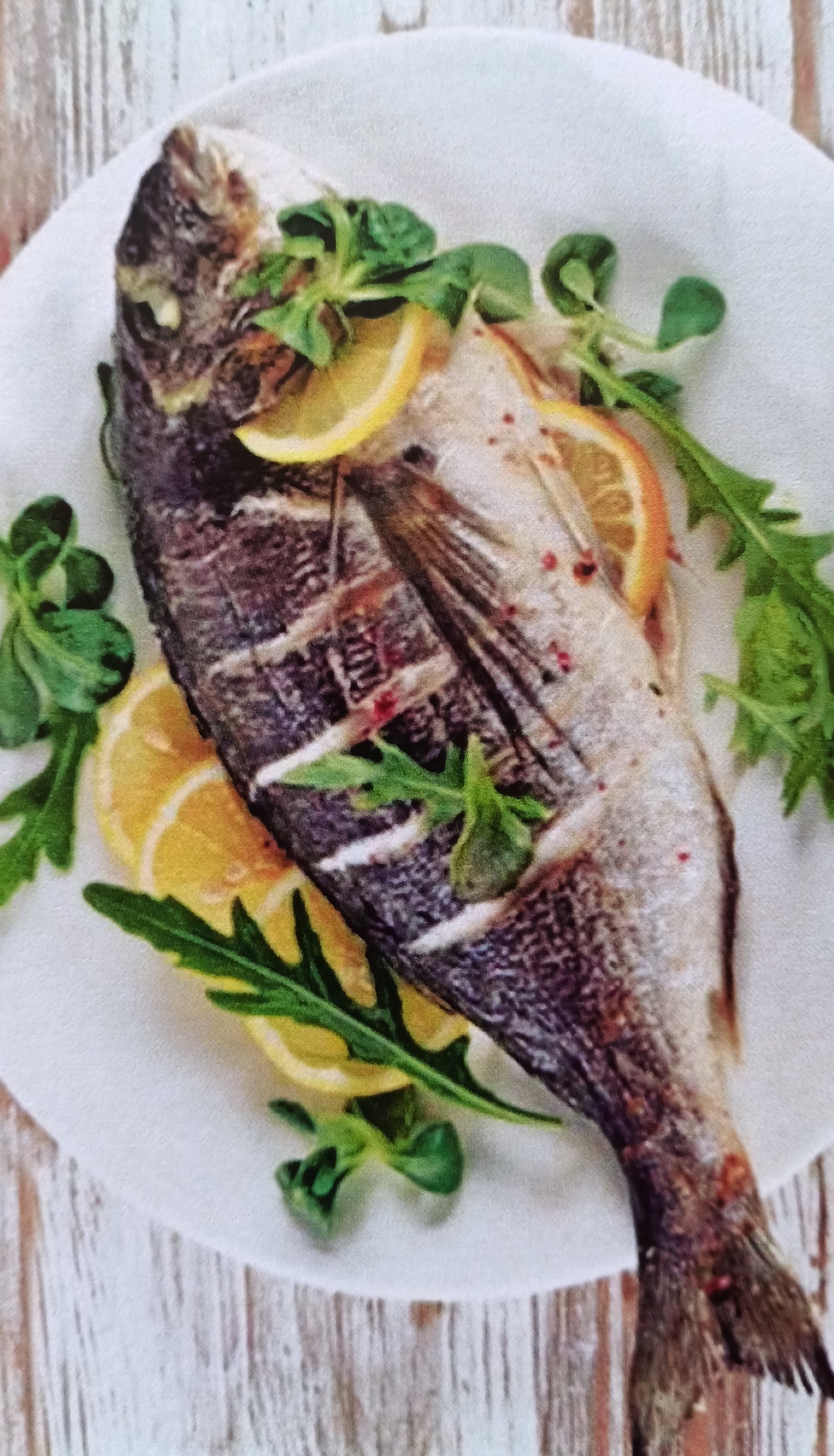 DENİZ ÜRÜNLERİ / SEA FOOD