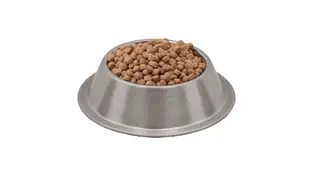 Açık Reflex Kuzu Etli Yavru Köpek Maması 500 g