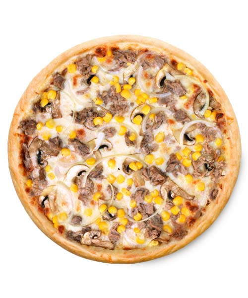 TON BALIKLI PİZZA/ORTA