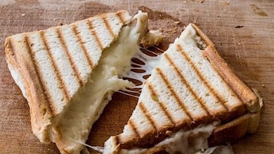 TOSTLAR