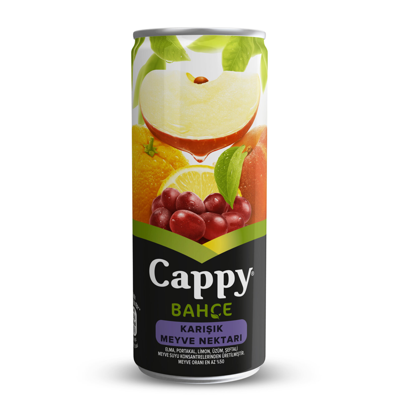 CAPPY KARIŞIK