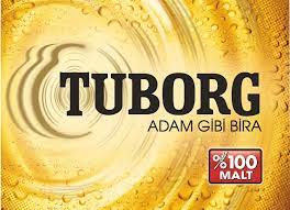 FIÇI TUBORG 33CL