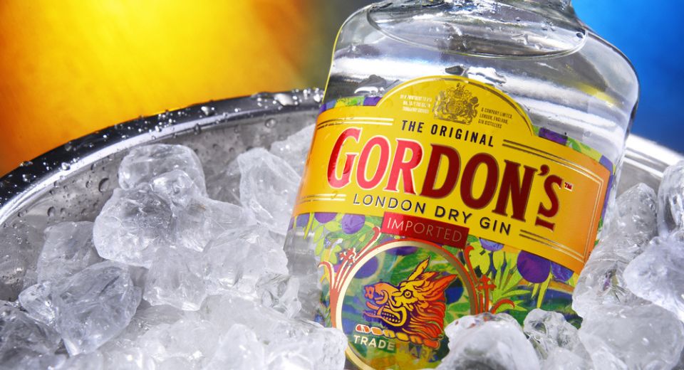 Gordon's 35cl Kova
