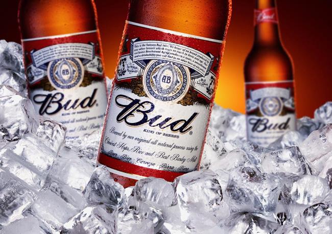 Bud 33cc