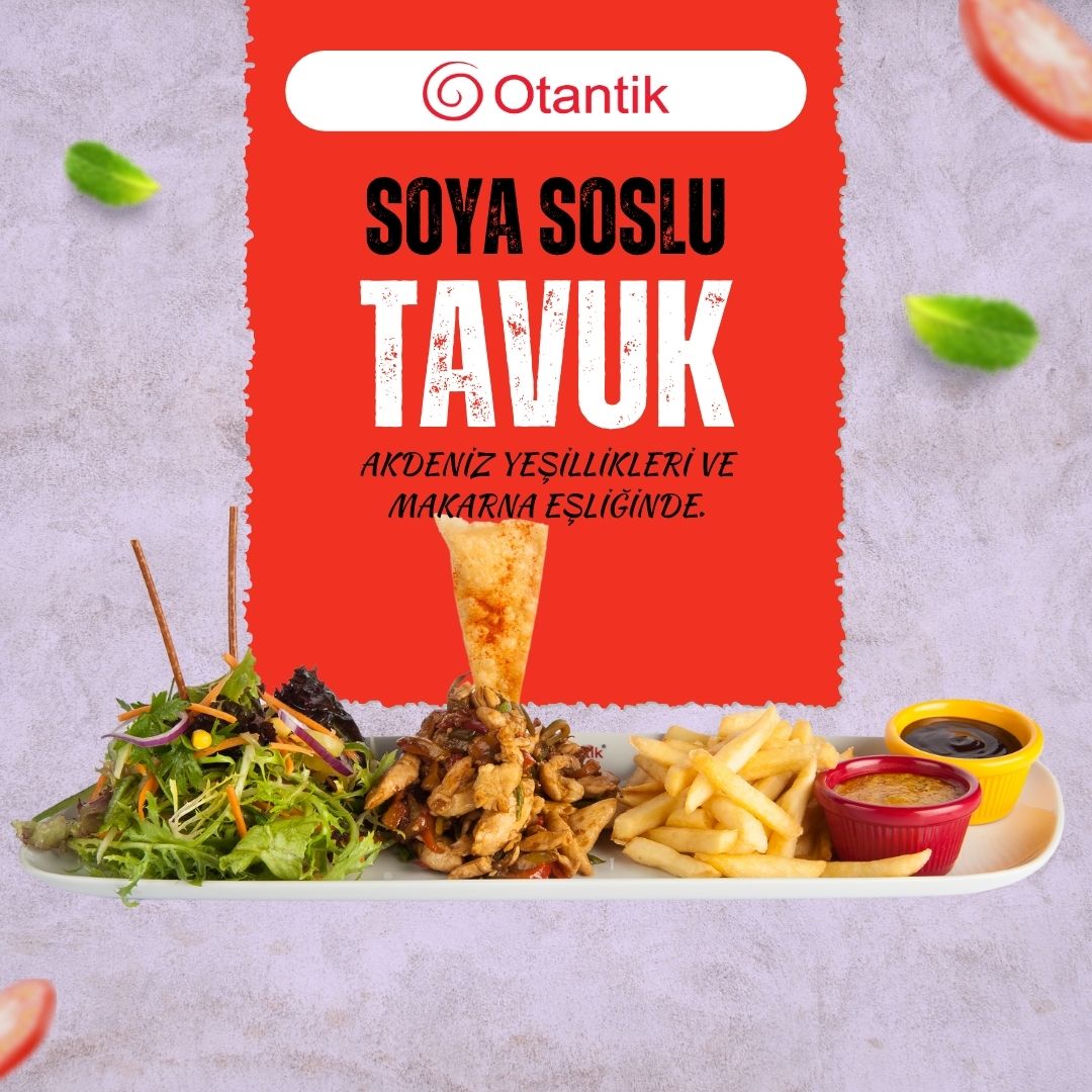 SOYA SOSLU TAVUK