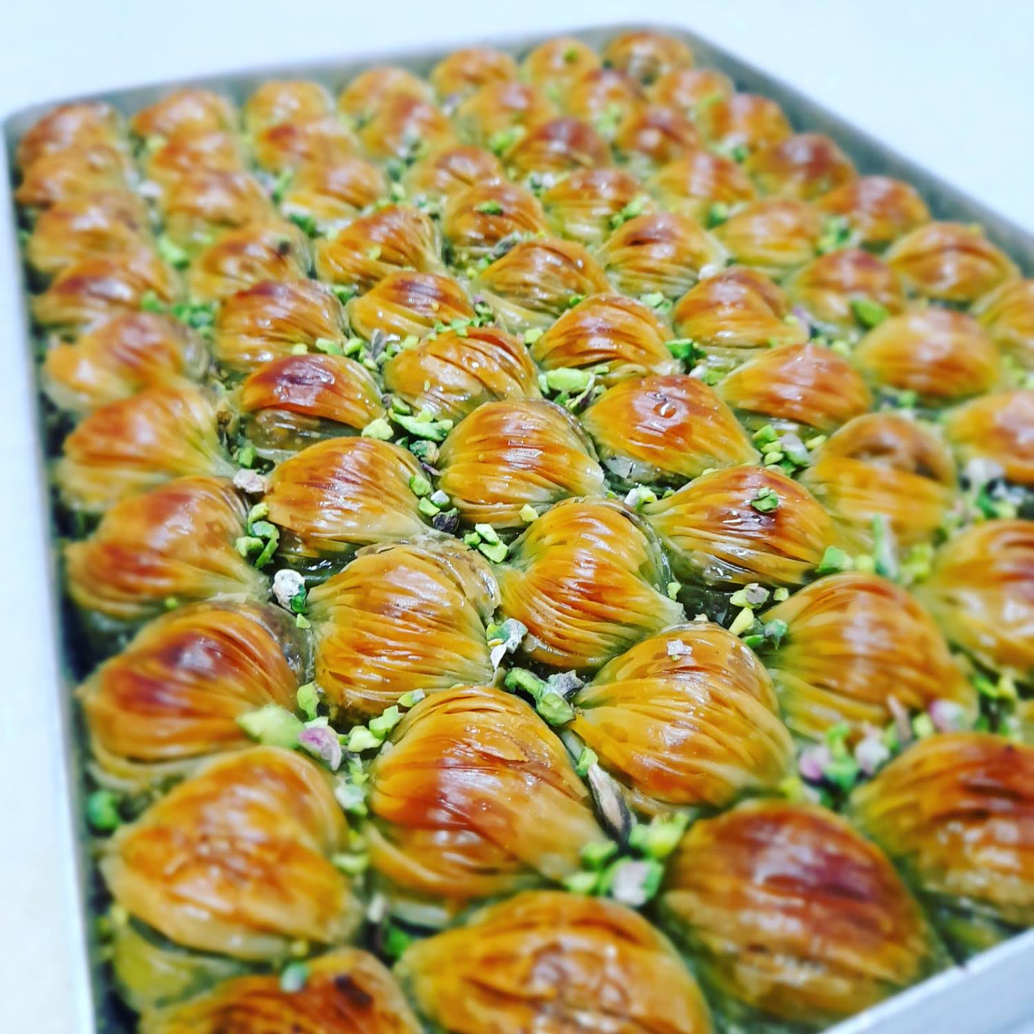 Fıtıklı Miye 1 Kg