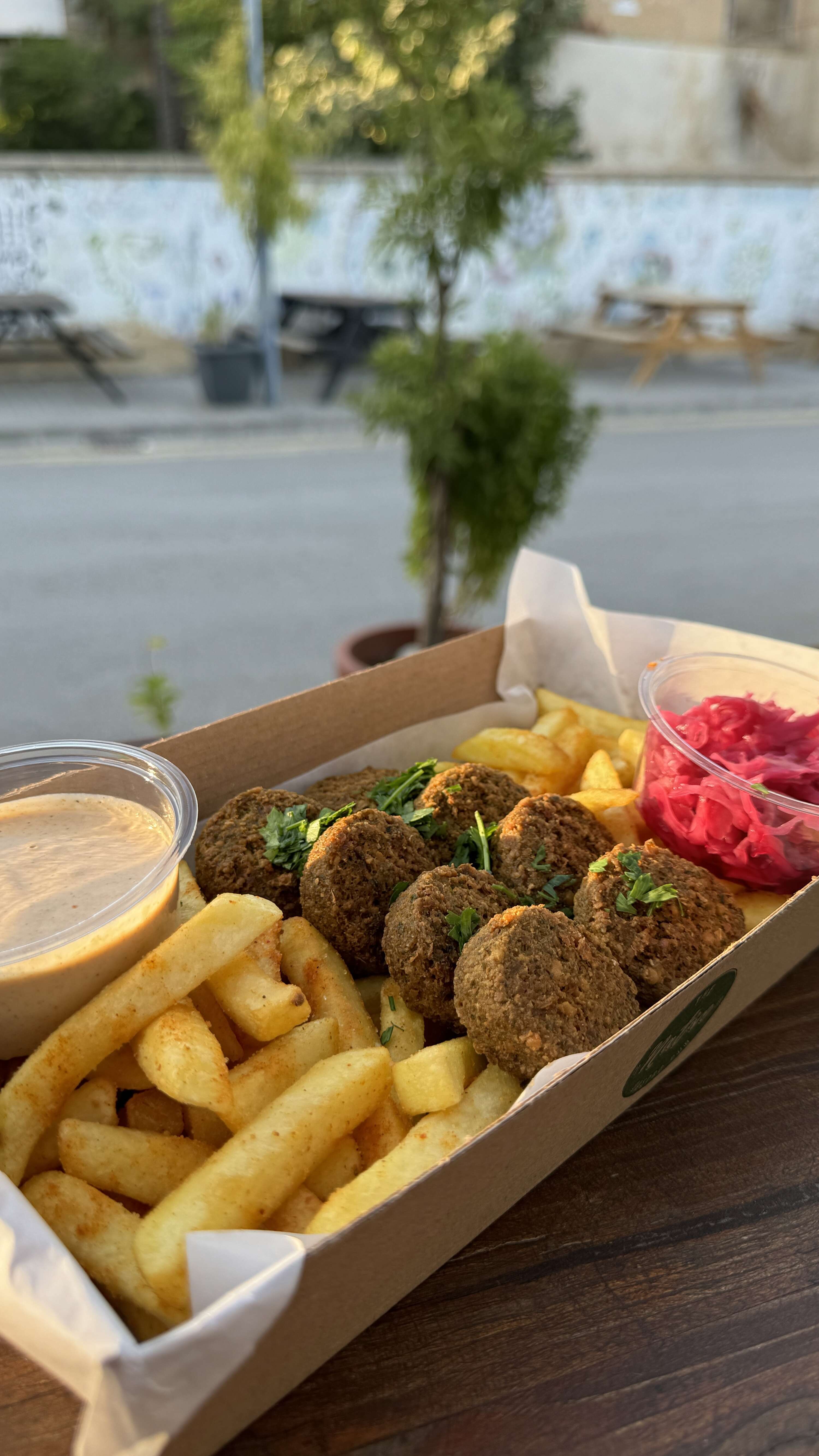 Vejeteryan/Vegan