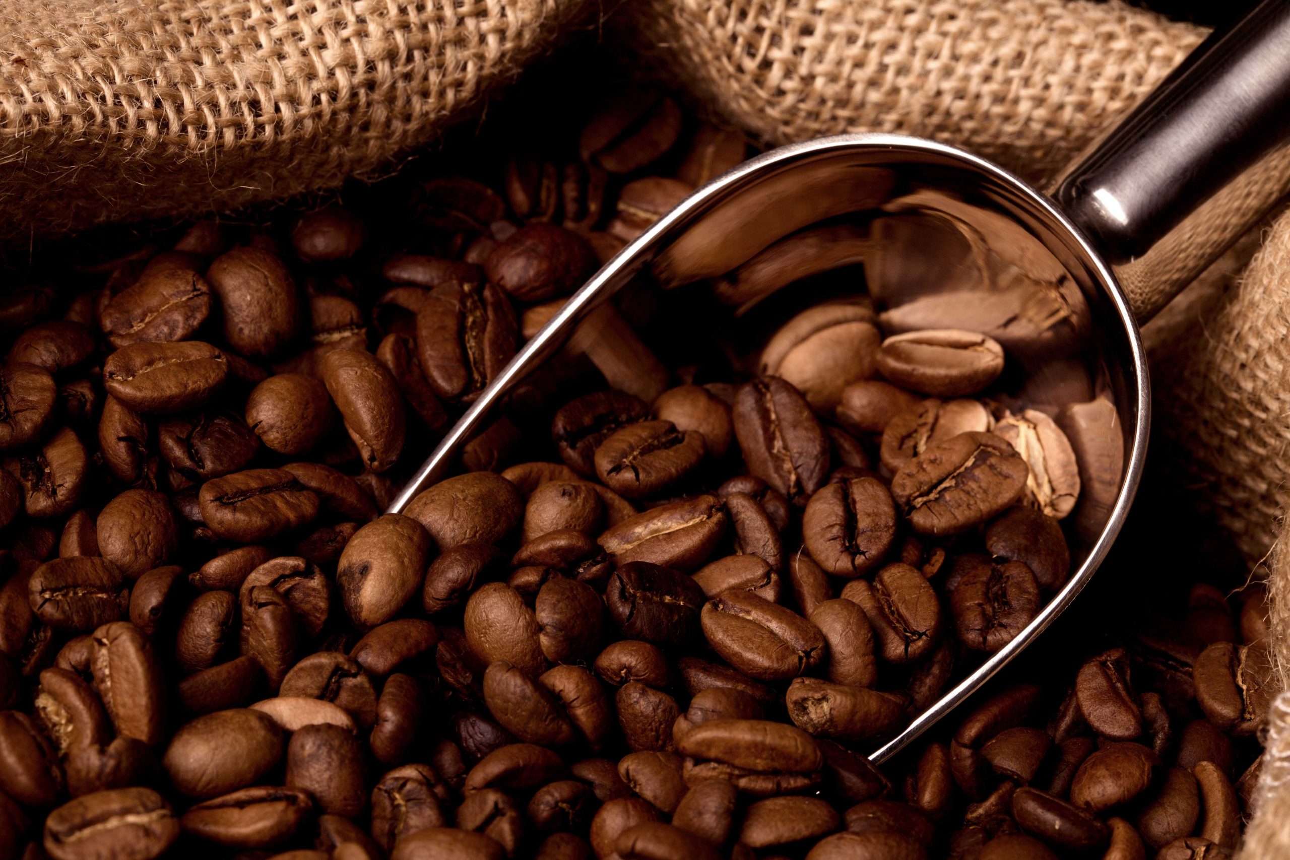 Hot Coffee