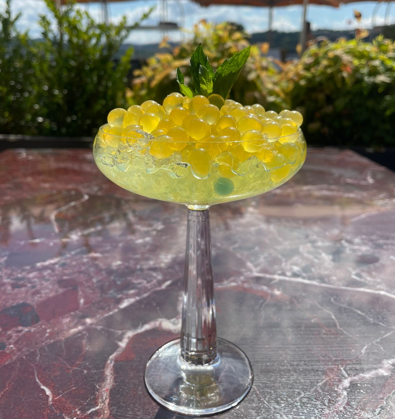 Bar Meyvesi