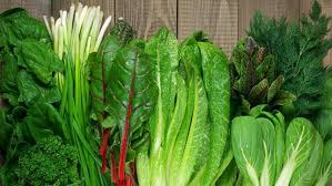 Yeşil Salata Çeşitleri
