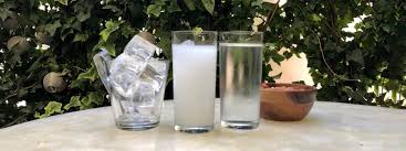 TEK YENİ RAKI
