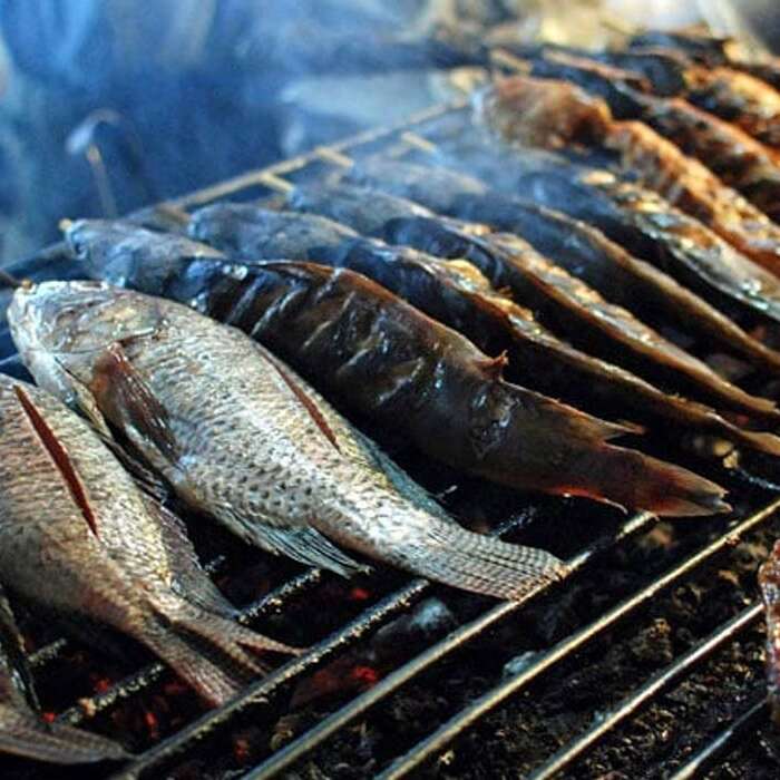 IZGARALAR