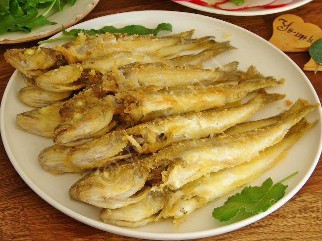 Mezgit