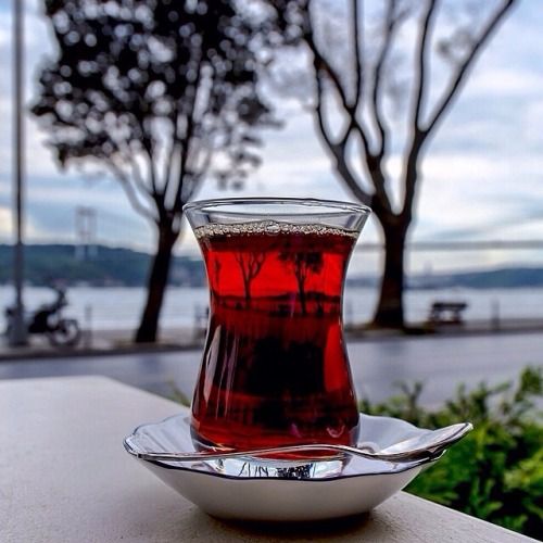 Çay