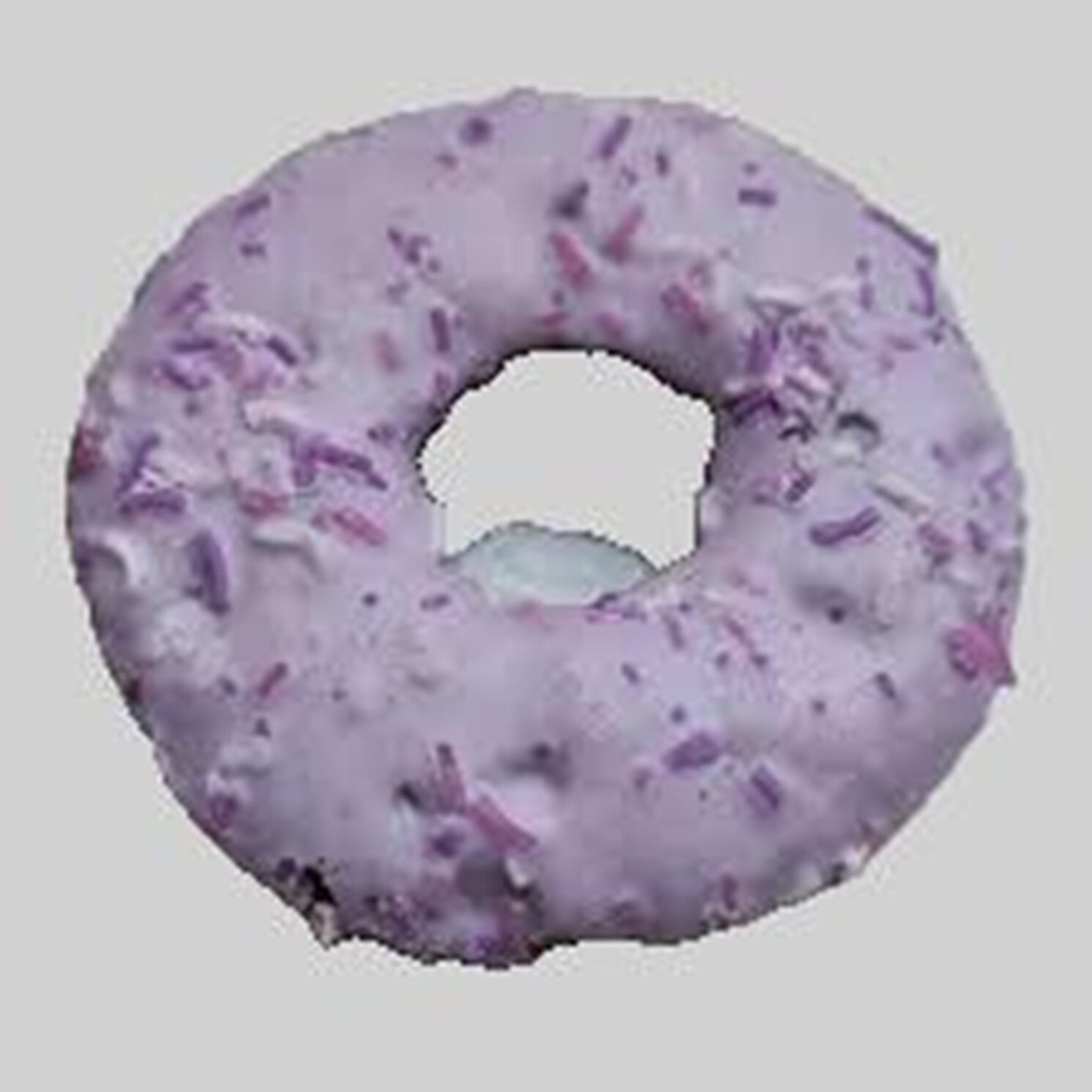 Blueberry Donut
