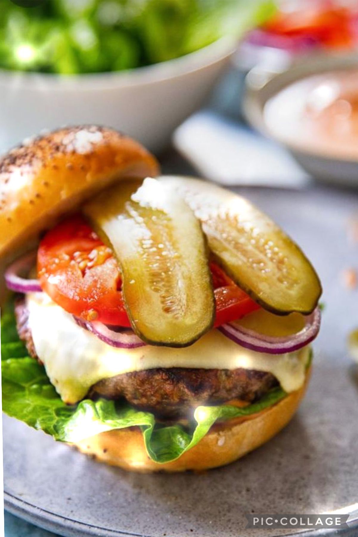 CHEESEBURGER(küçük)