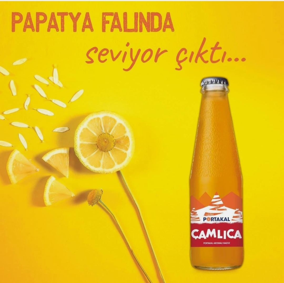 ÇAMLICA PORTAKAL 