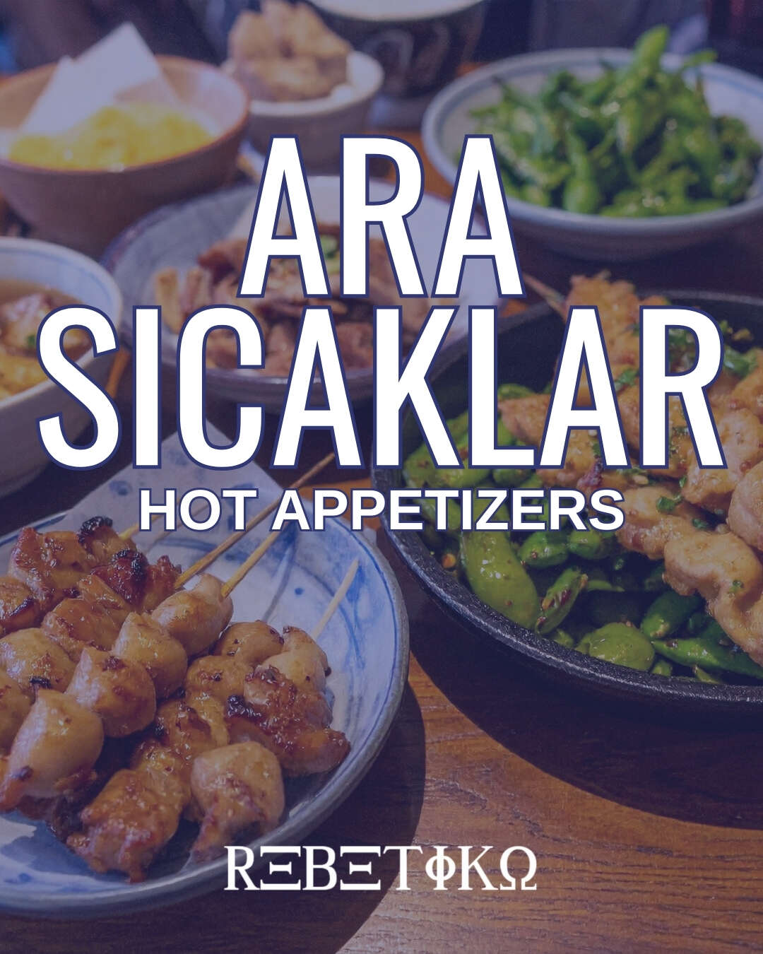 ARA SICAKLAR  /  HOT APPETIZERS