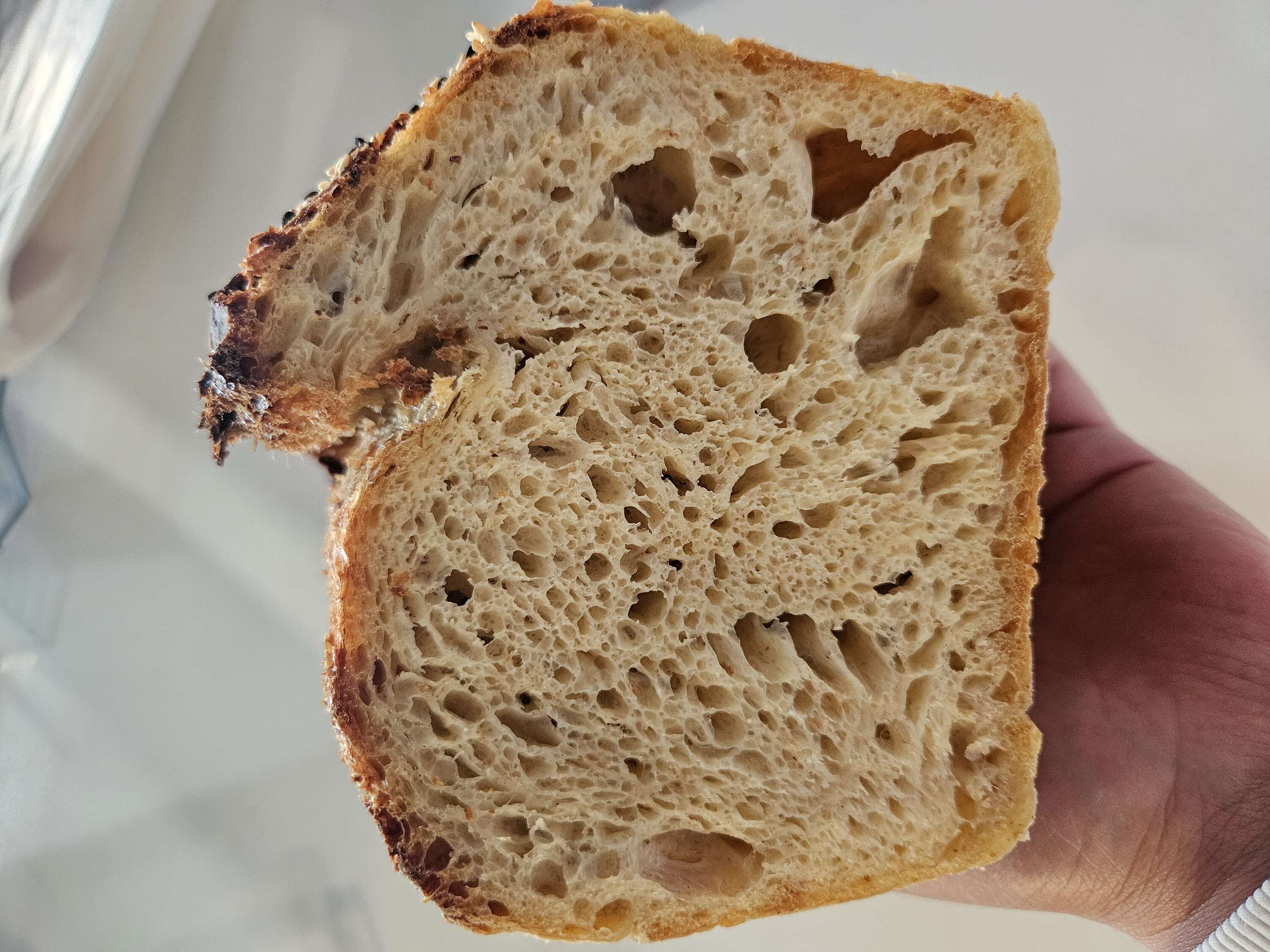 Sourdough Bread