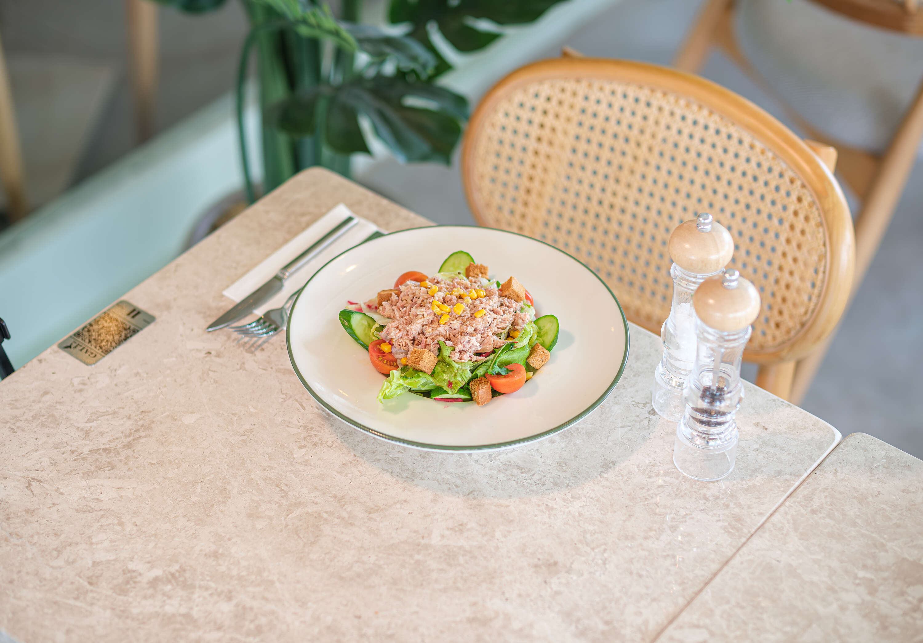 Ton Balıklı Salata