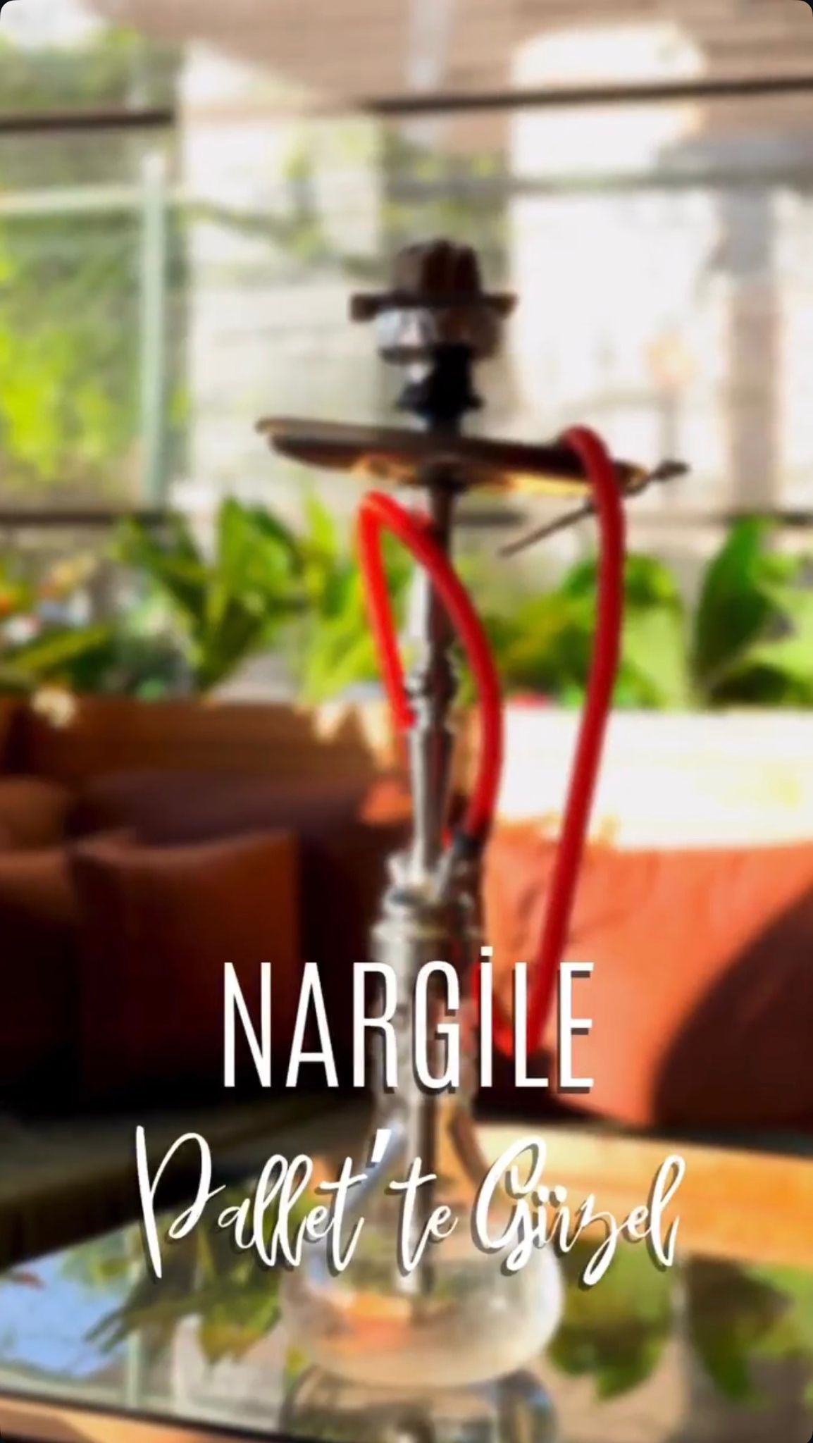 NARGİLELER