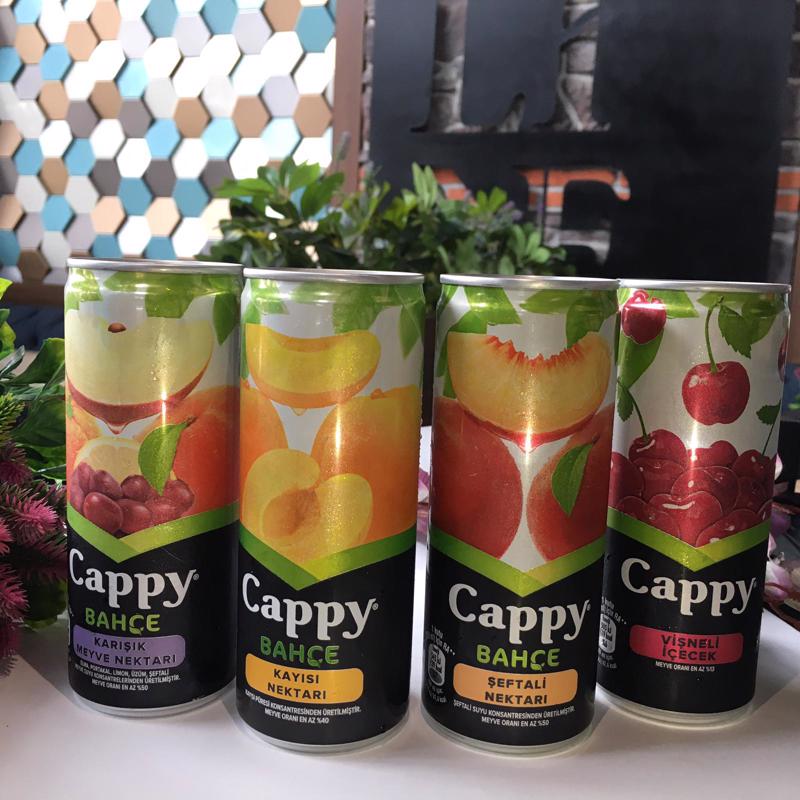 Cappy Meyve Suyu Grubu