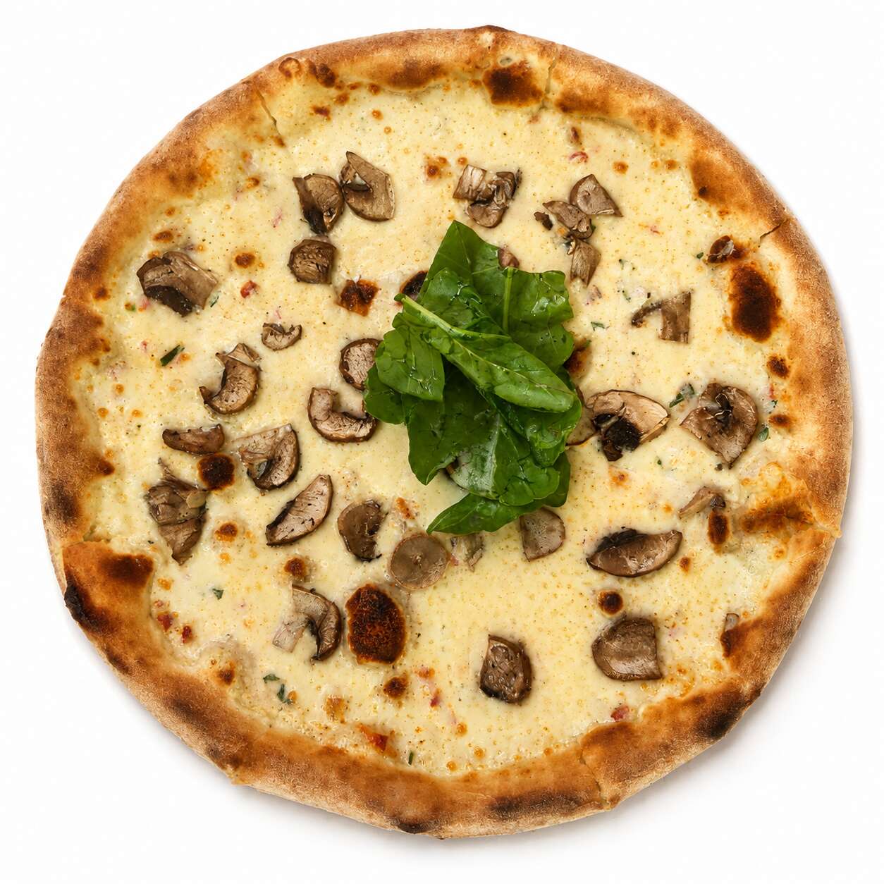 TRÜFLÜ BEYAZ PIZZA