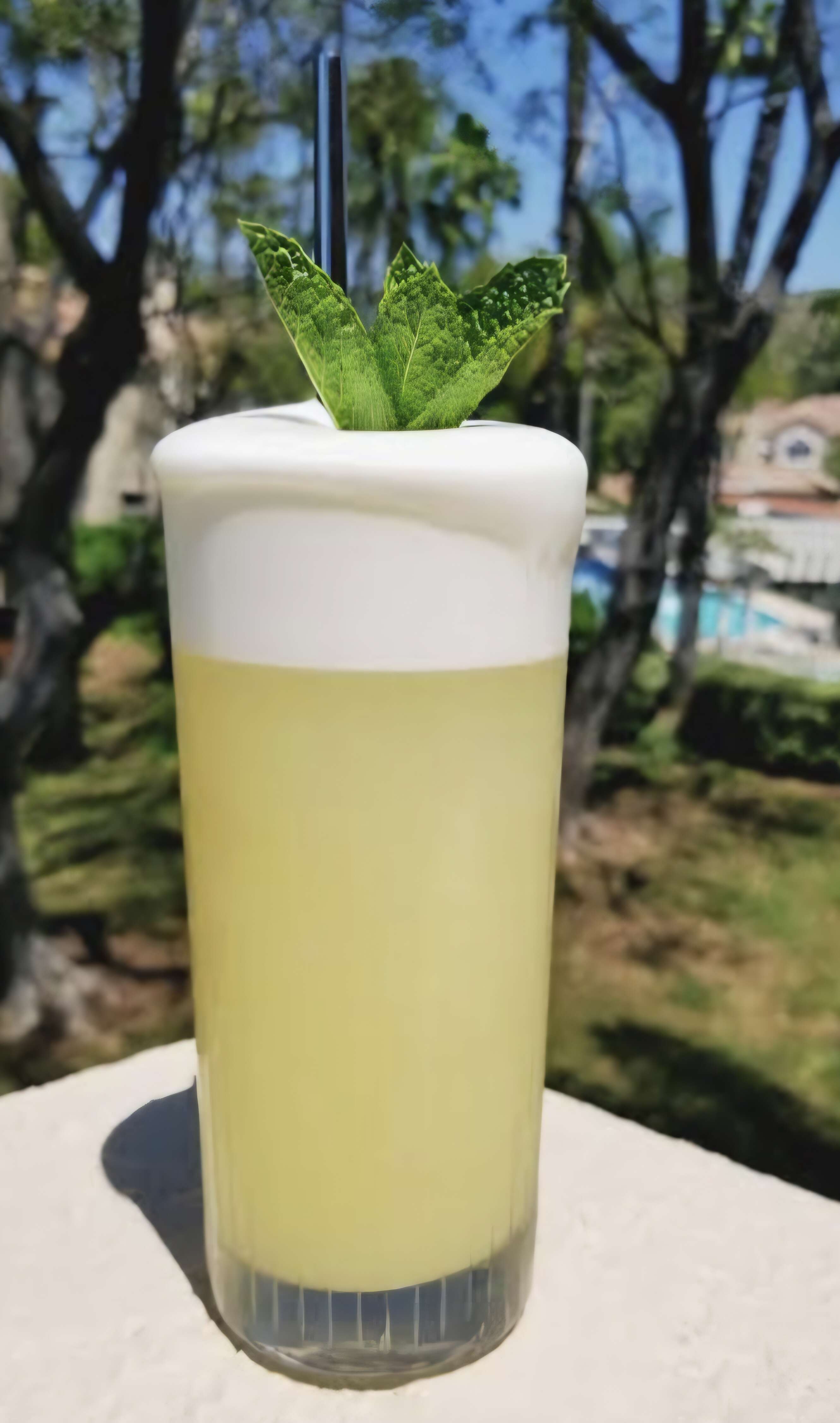 Gin fizz