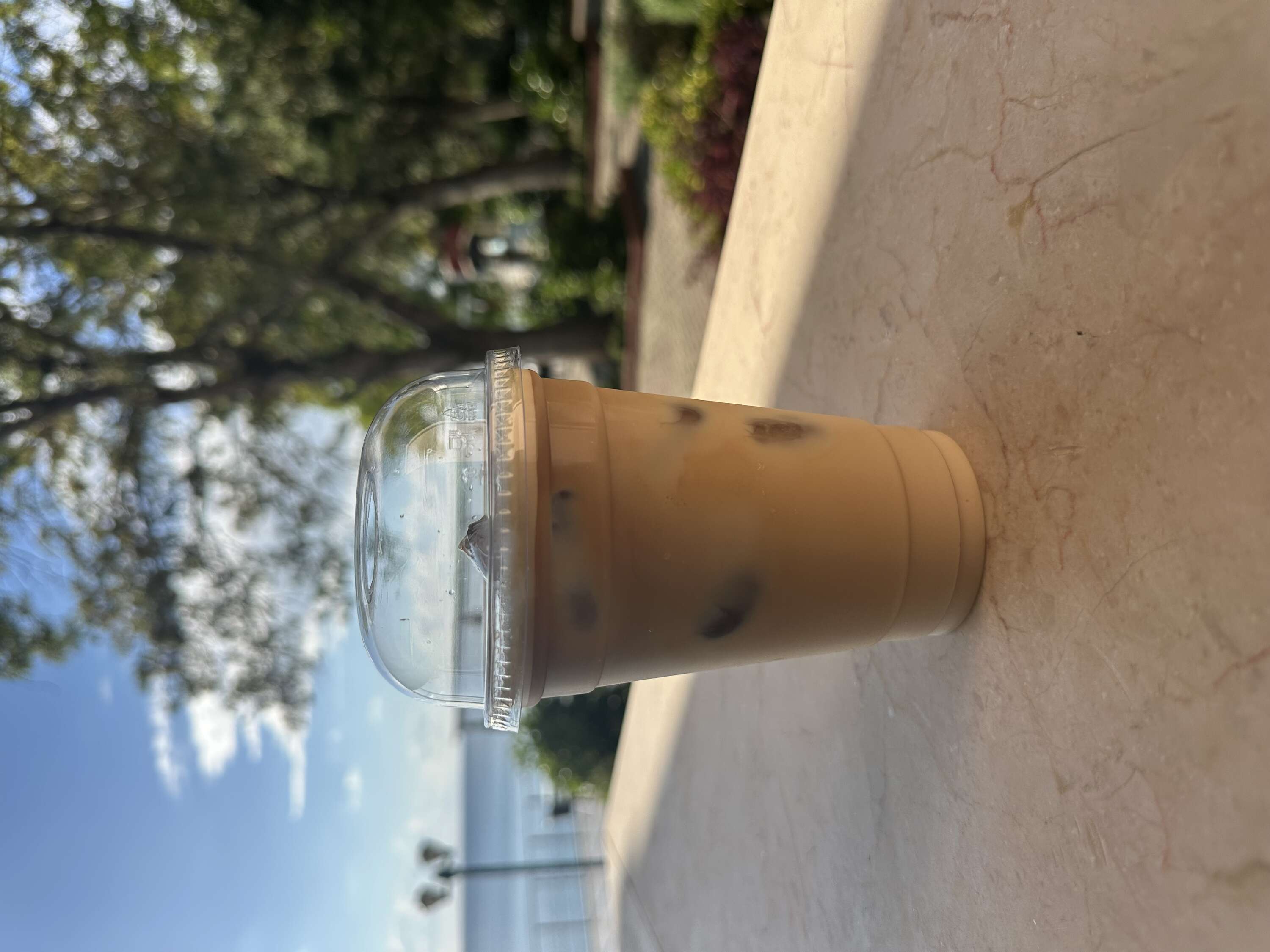 BUZLU CAFE LATTE 