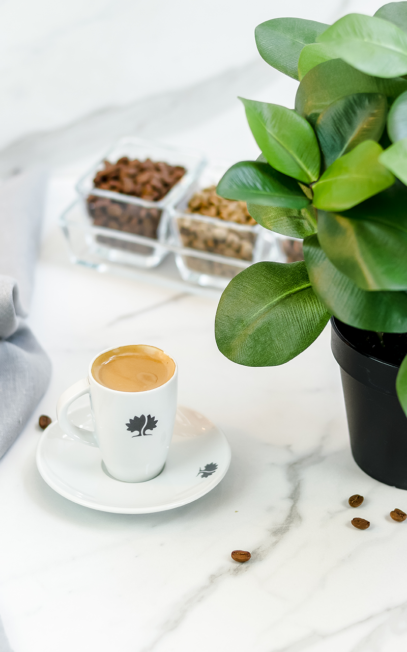 DOUBLE ESPRESSO
