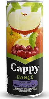 Cappy Meyve Suyu