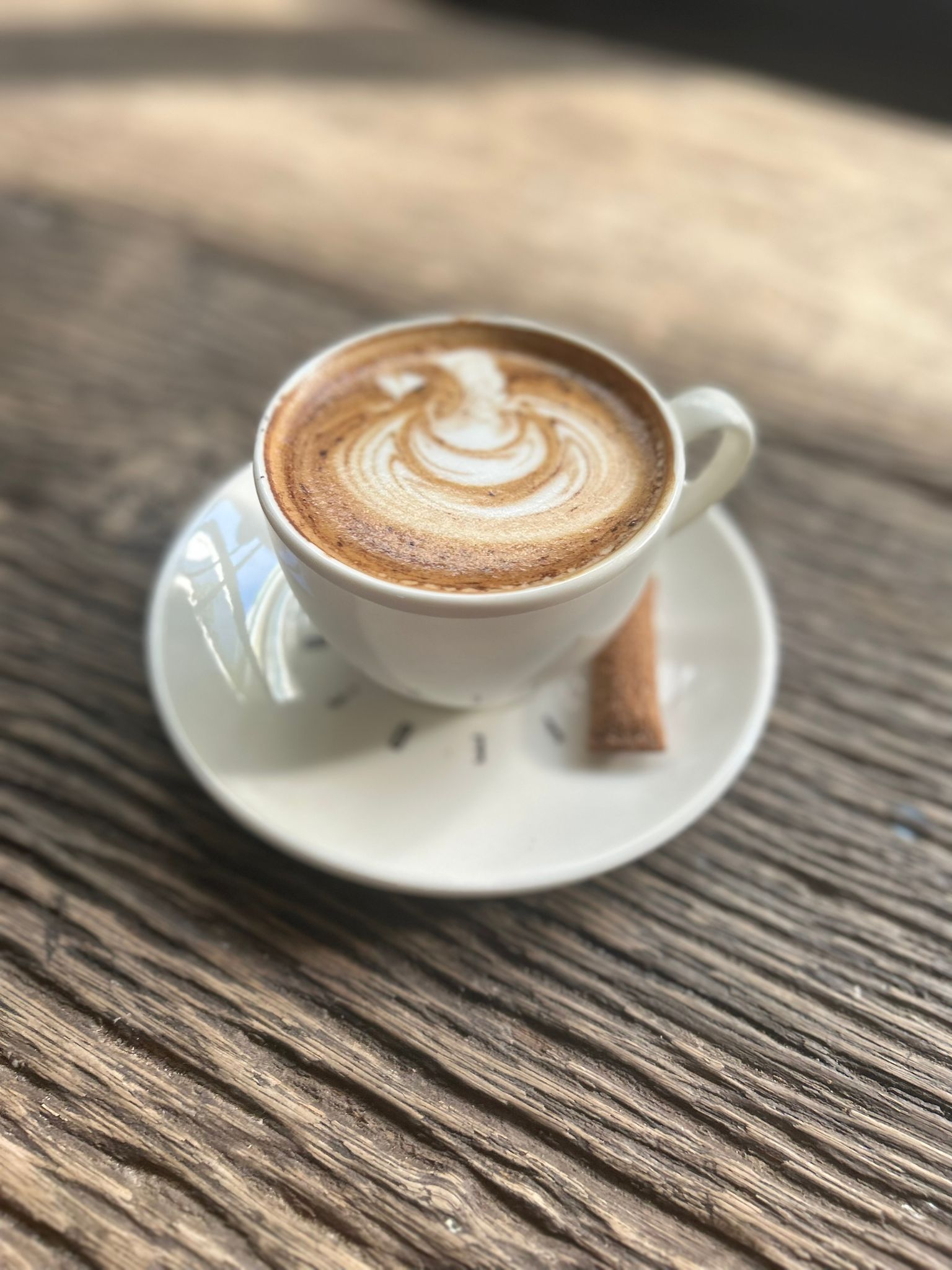 Zebra Mocha